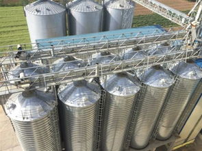 安德里茨與澳華集團深化合作 第二個技術(shù)轉(zhuǎn)讓項目成功投產(chǎn)